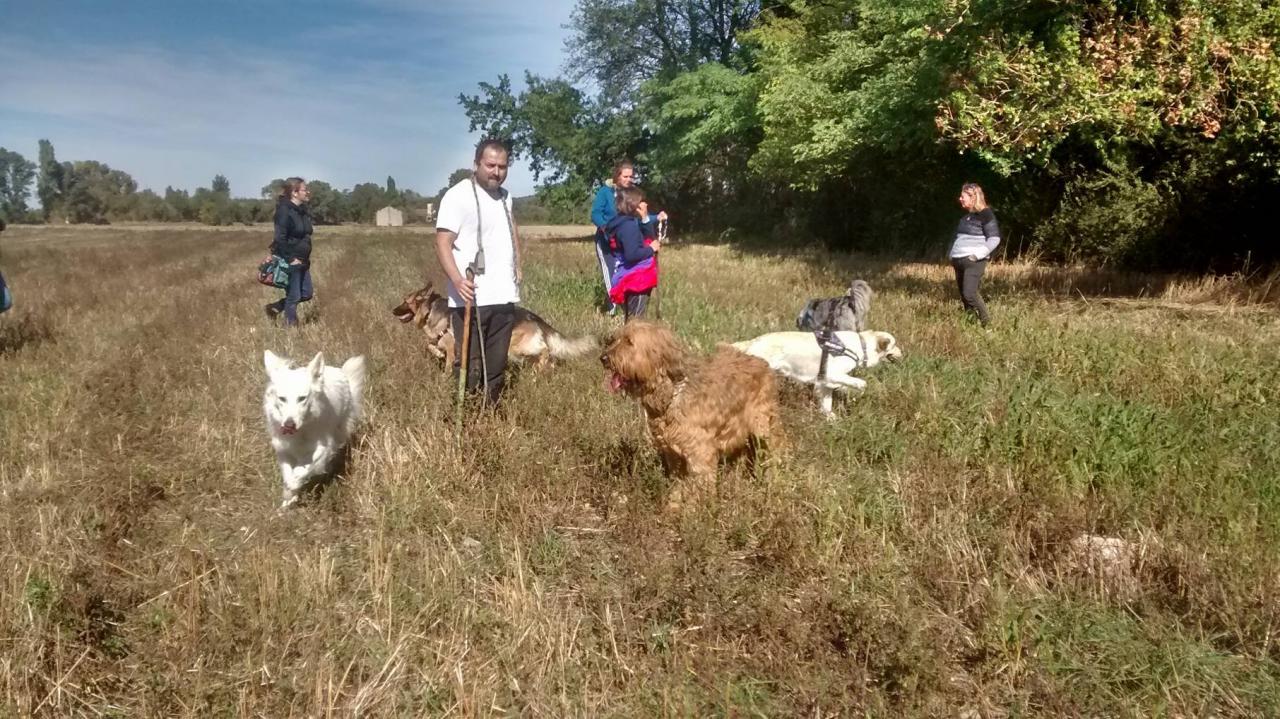 Club canin d'Etoile (16)