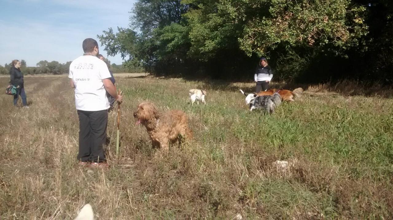 Club canin d'Etoile (18)