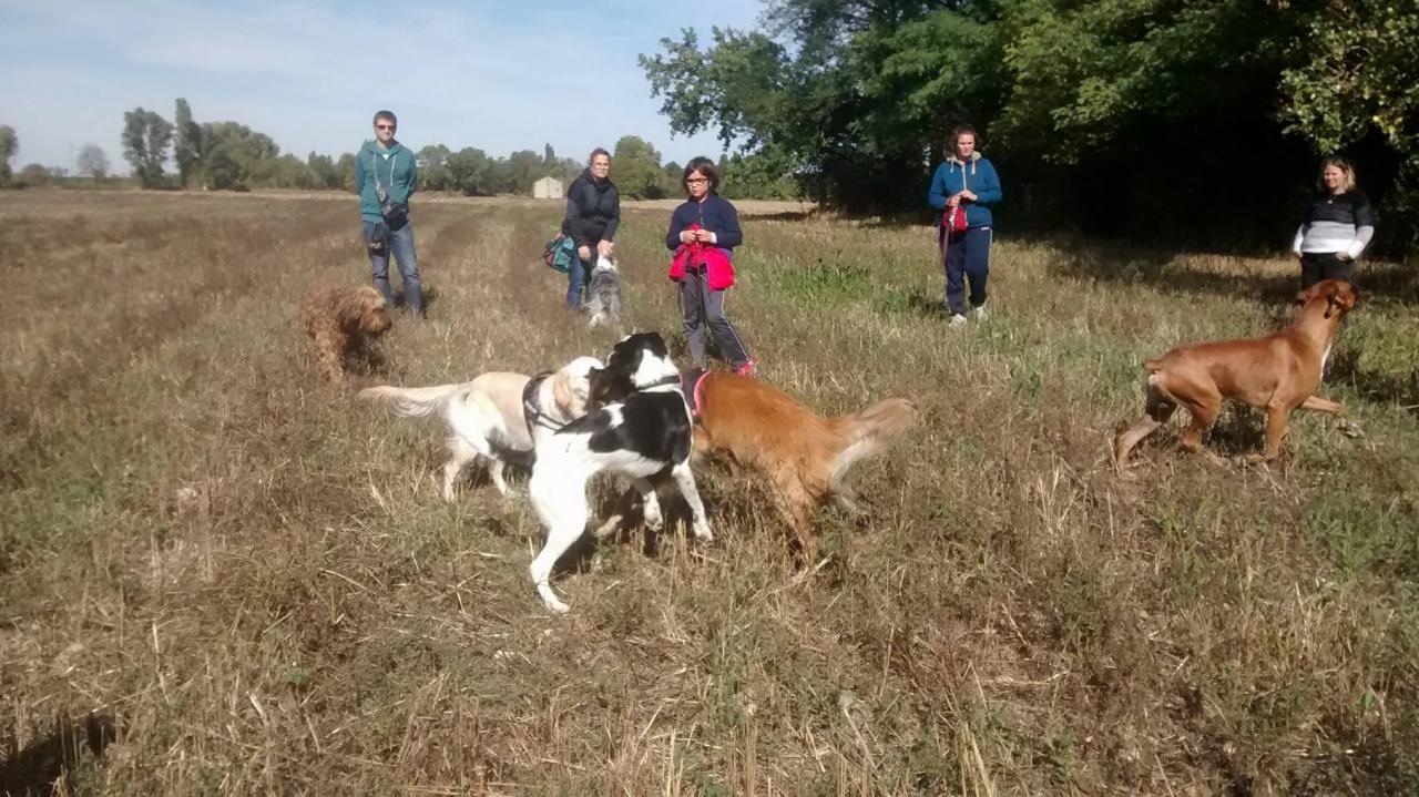 Club canin d'Etoile (21)