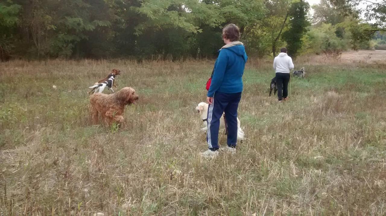 Club canin d'Etoile (31)
