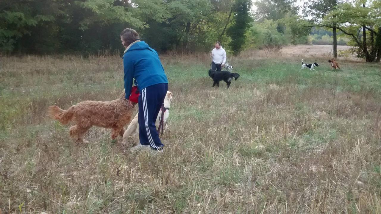 Club canin d'Etoile (38)