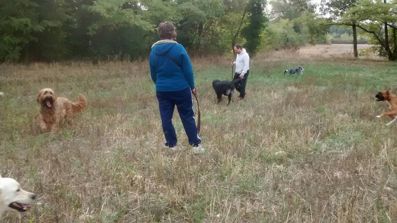 Club canin d'Etoile (42)