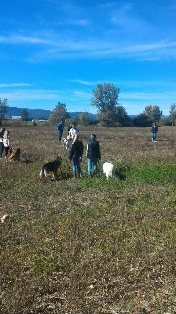 Club canin d'Etoile (44)