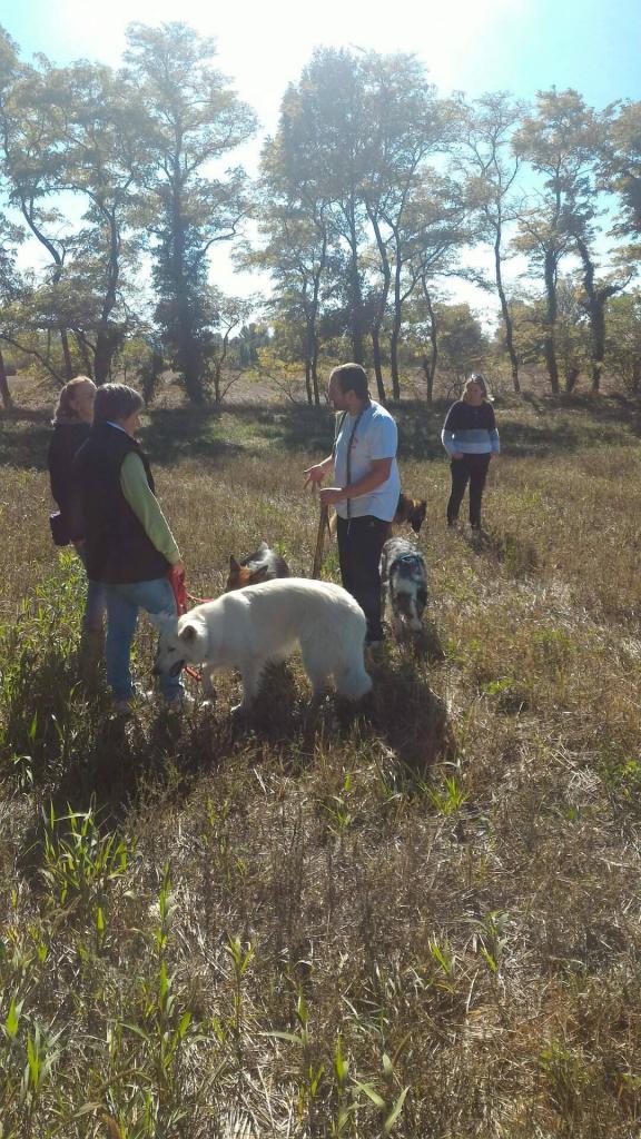 Club canin d'Etoile (45)