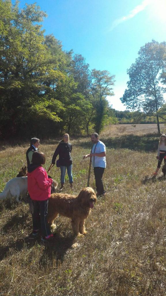 Club canin d'Etoile (47)