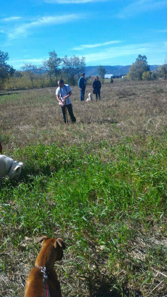 Club canin d'Etoile (48)