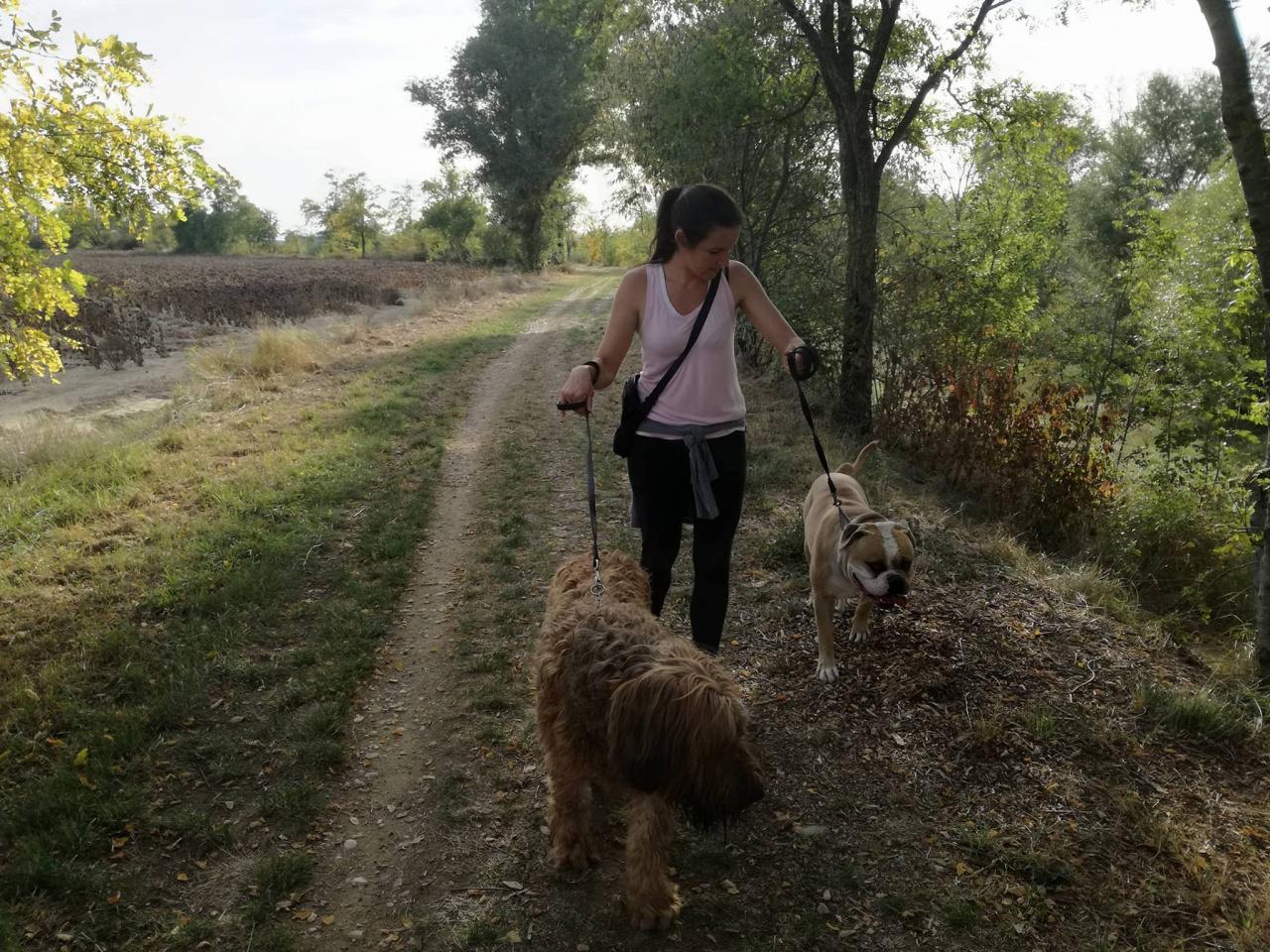 Club canin d'Etoile 50