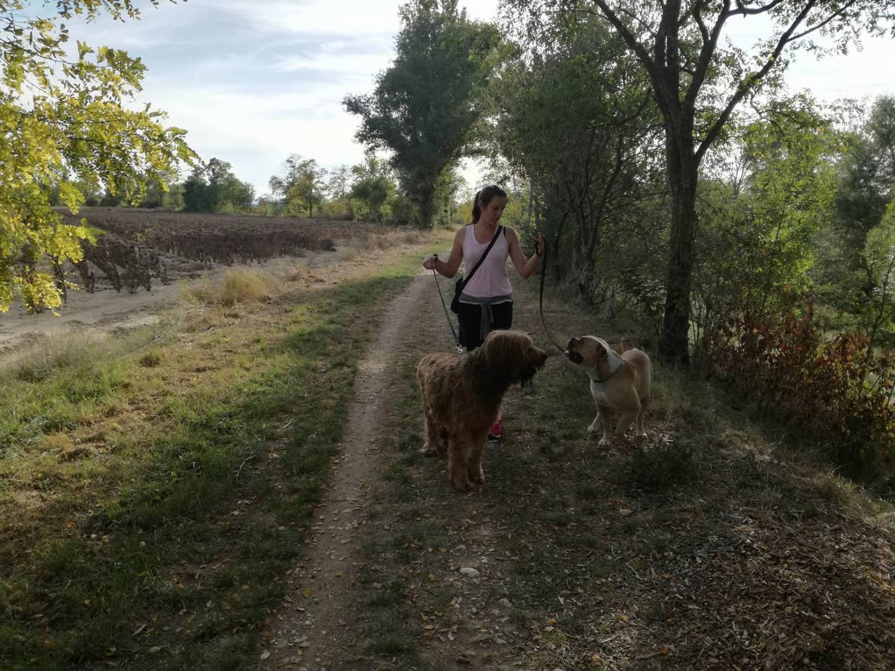 Club canin d'Etoile 51