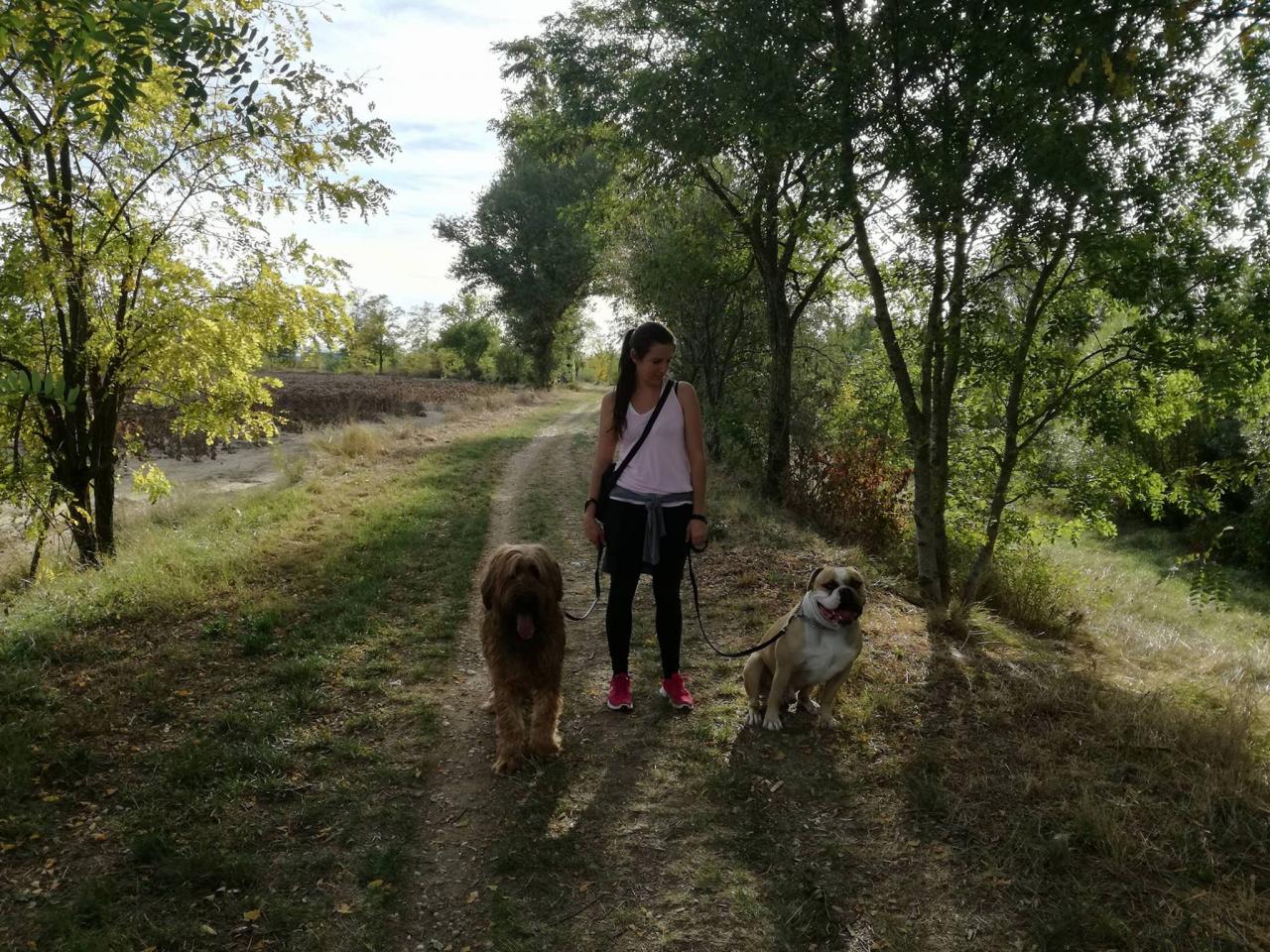 Club canin d'Etoile 52