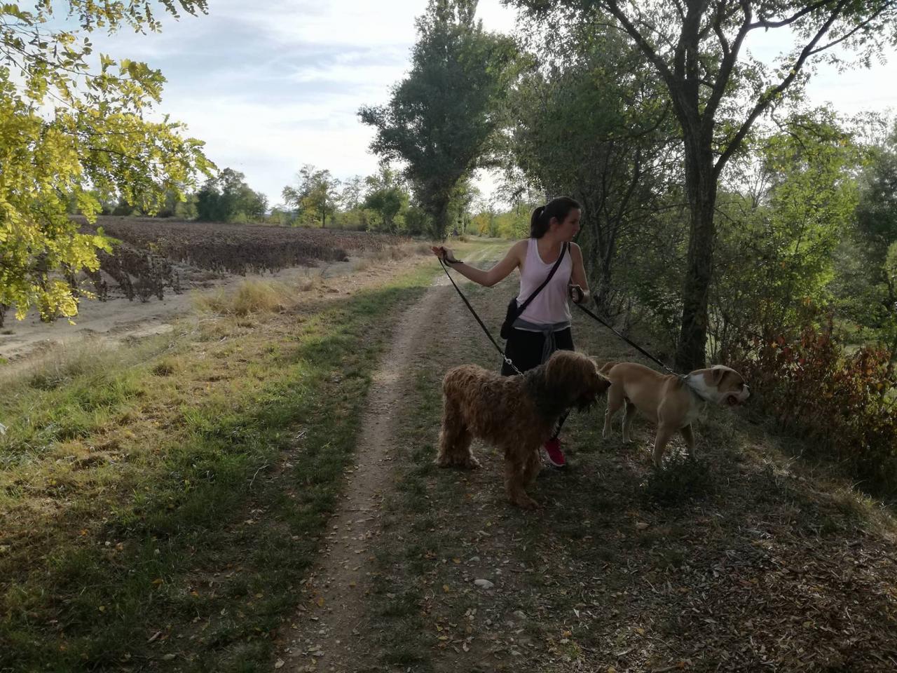 Club canin d'Etoile 53