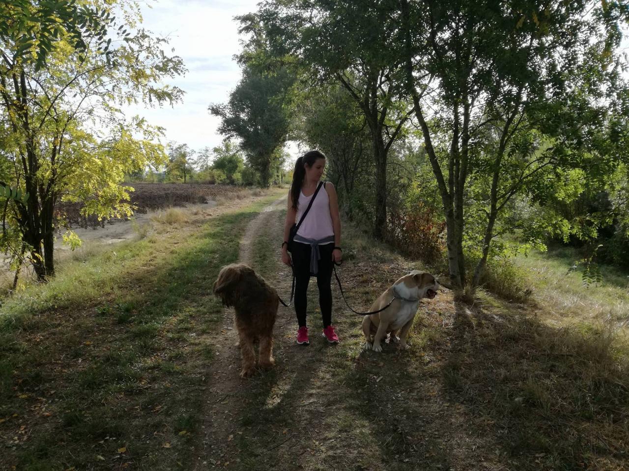 Club canin d'Etoile 56