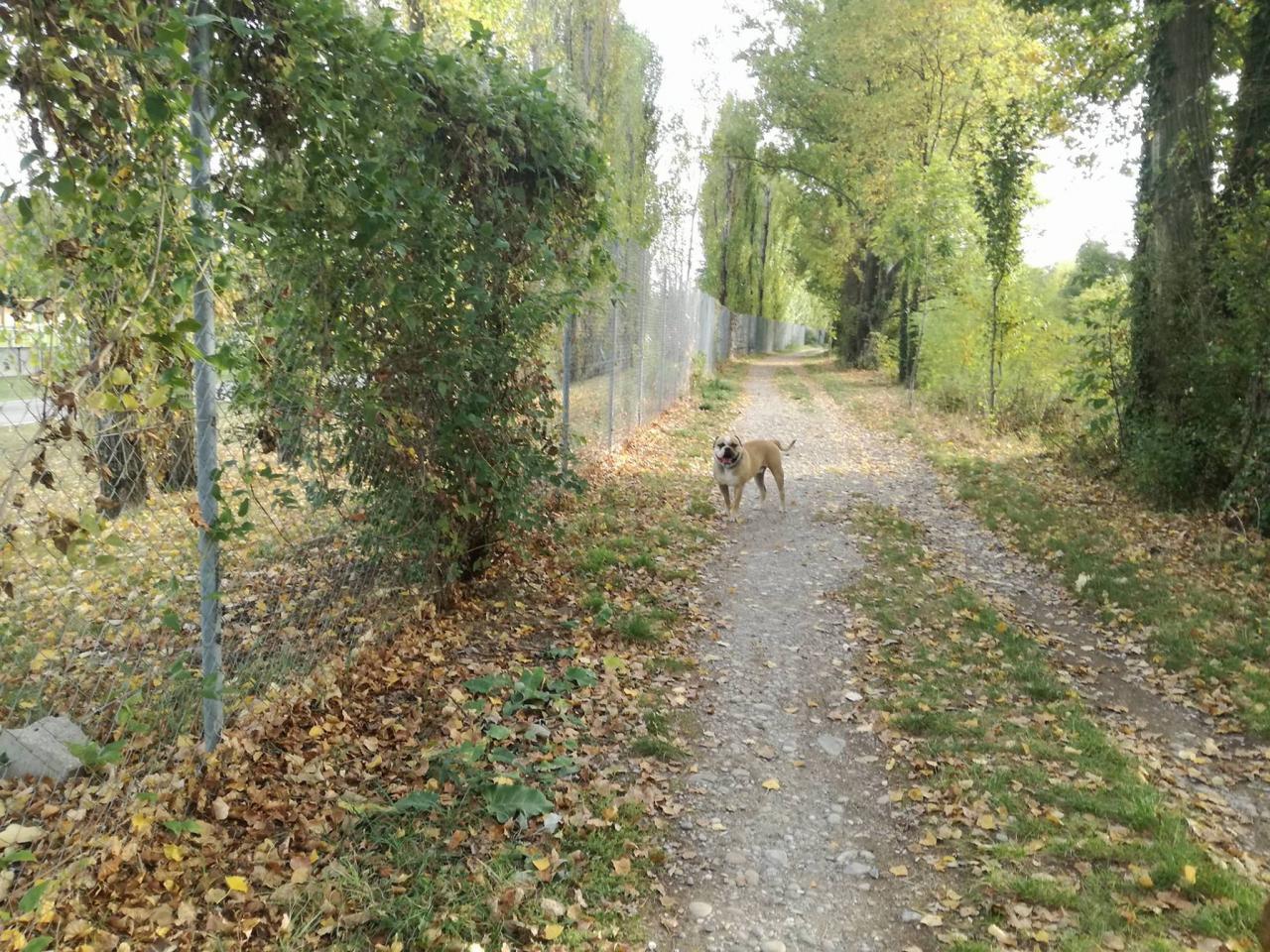Club canin d'Etoile 58