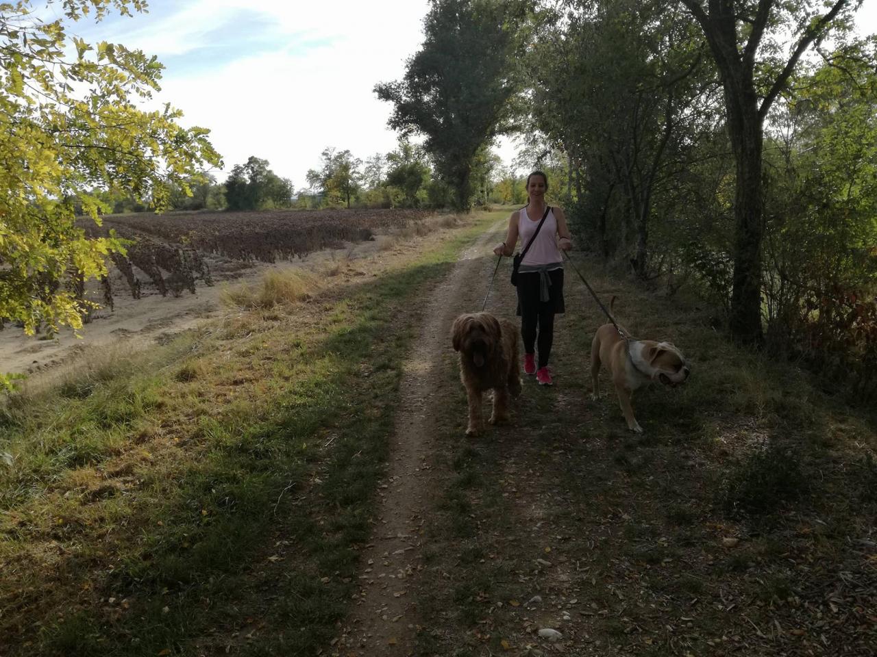 Club canin d'Etoile 59